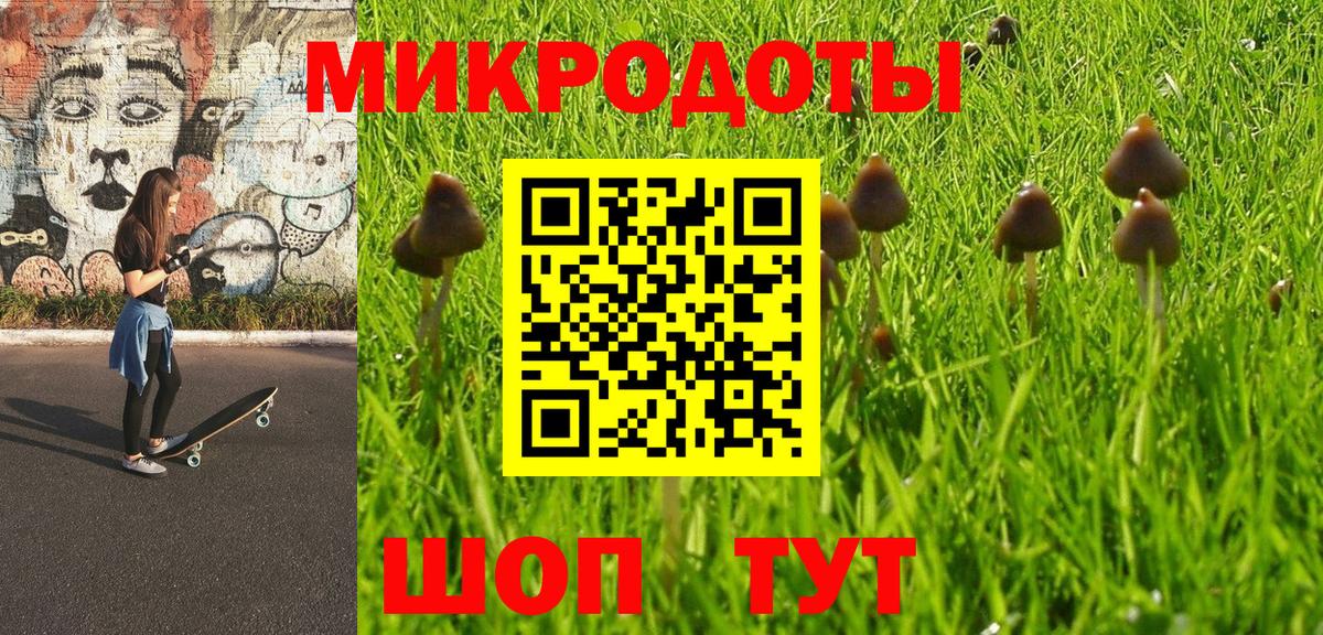 Галлюциногенные грибы Psilocybe  Вход с VPN  Екатеринбург 