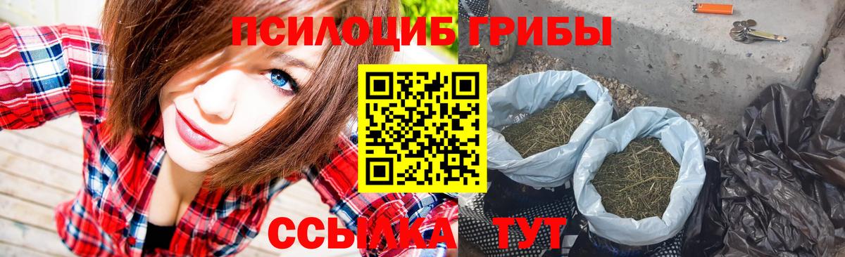 Псилоцибиновые грибы Psilocybe Екатеринбург